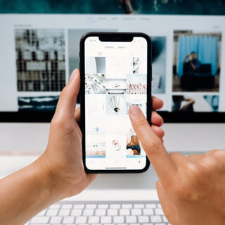 Conoce nuestro catálogo